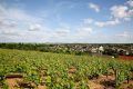 Vignoble Reuilly