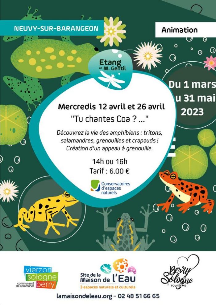 Affiche animation Fréquence grenouille