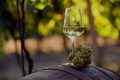 Verre de vin – Domaine Jacques Rouzé