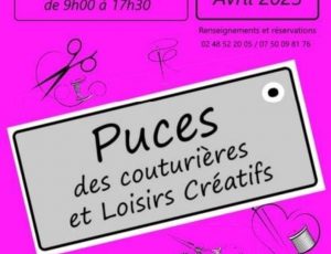 puces genouilly